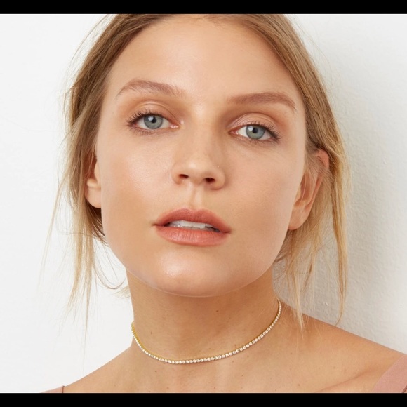 NWT Frasier Sterling Choker - Picture 5 of 5